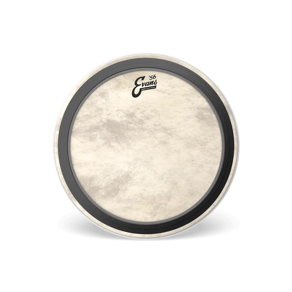 d-addario-evans-emad-calftone-bass-schlagfell-mit-emad-d-mpfung image 1