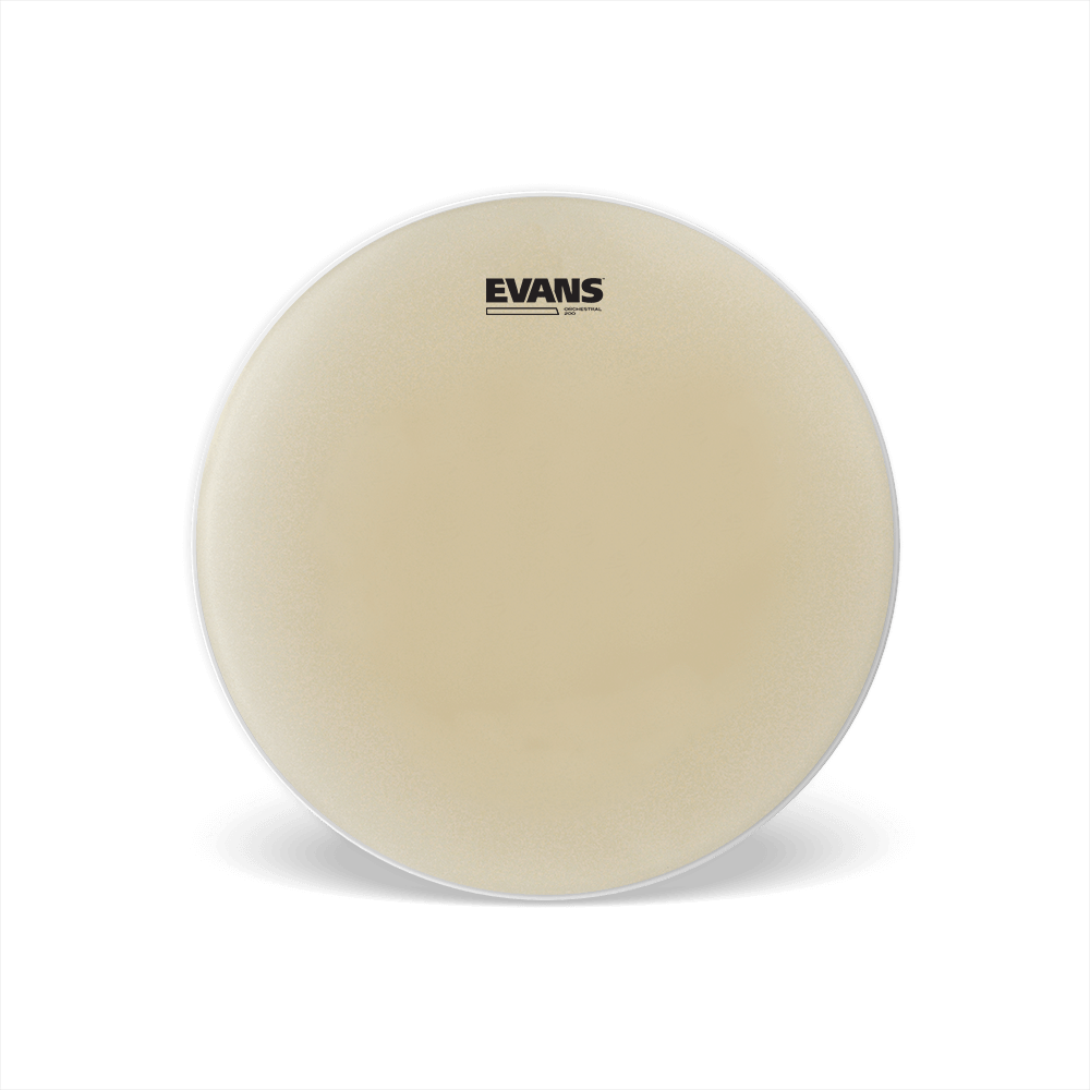 d-addario-evans-orchestral-200-snare-resonanzfell-14-2mil image 1