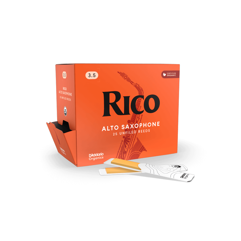 d-addario-rico-organic-alt-saxophon-bl-tter image 7