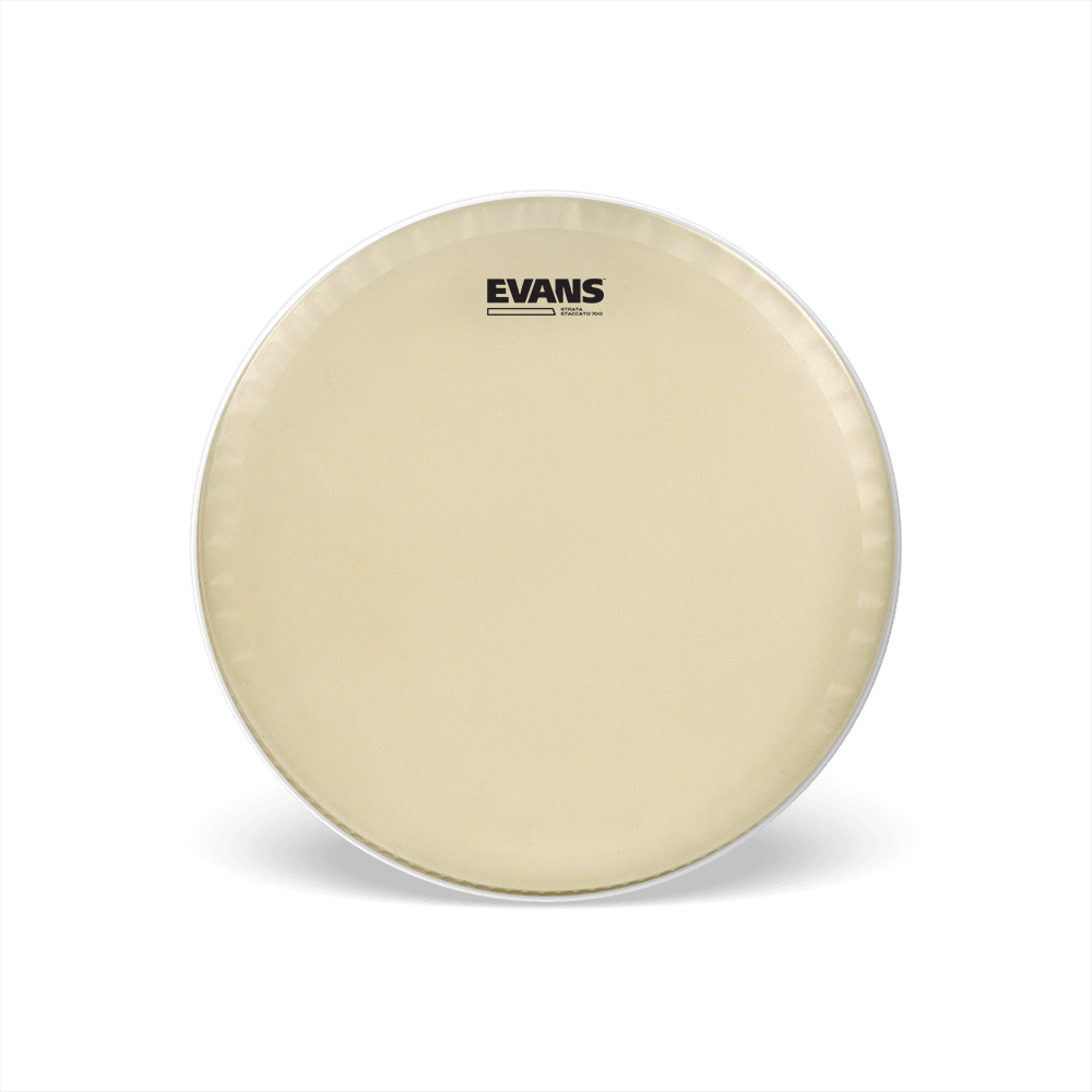d-addario-evans-strata-staccato-700-snare-schlagfell-14-zoll image 1