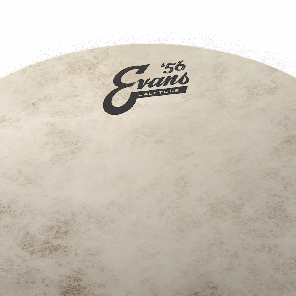 d-addario-evans-calftone-snare-batter-drumfell image 5