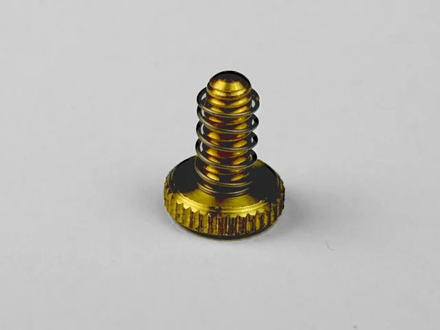 shubb-ersatz-stellschraube-gold-f-r-5th-string-kapo-2er-pack image 1