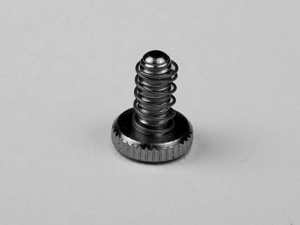 shubb-5th-string-capo-stellschraube-vernickelt-2er-pack image 1
