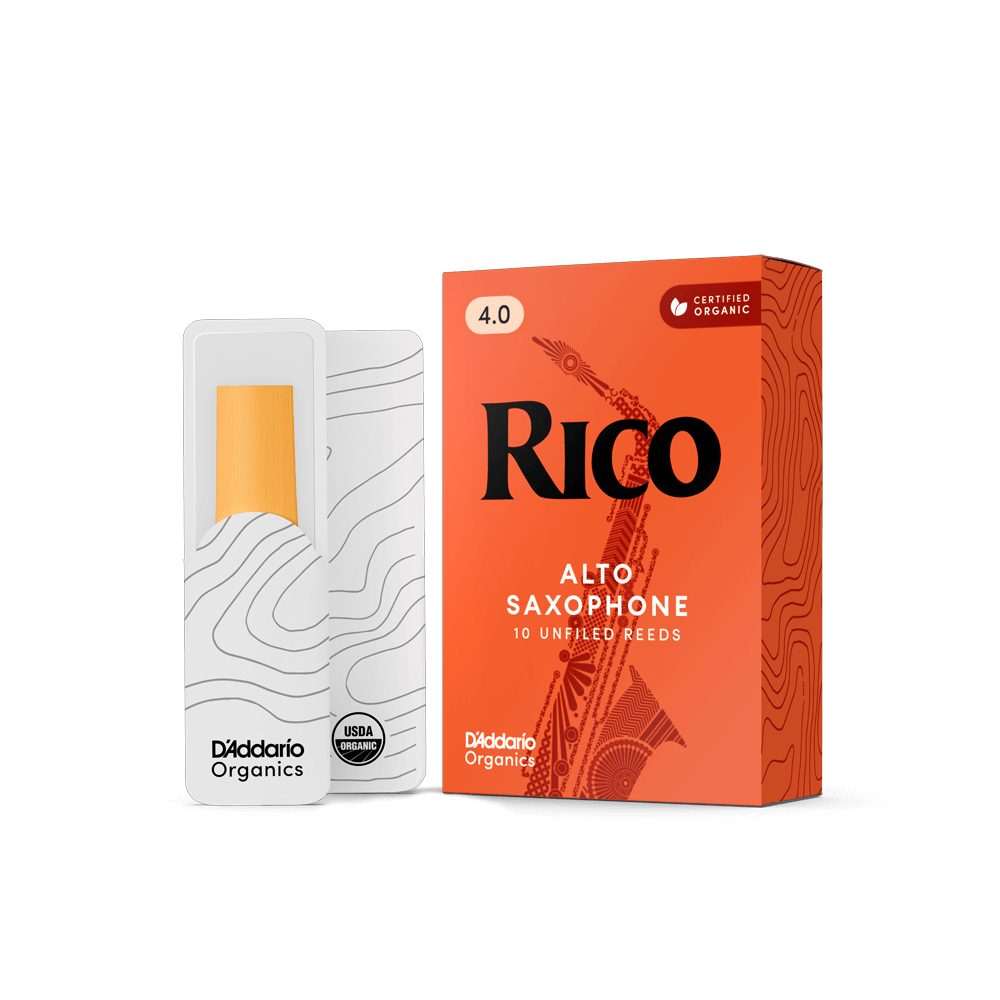 d-addario-rico-organic-alt-saxophon-bl-tter image 1