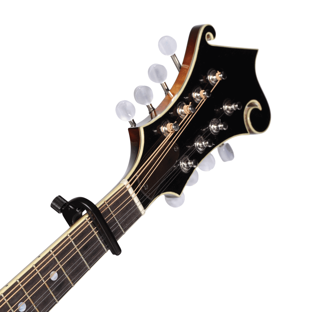 d-addario-banjo-mandolin-pro-capo-f-r-4-und-5-saiter image 4