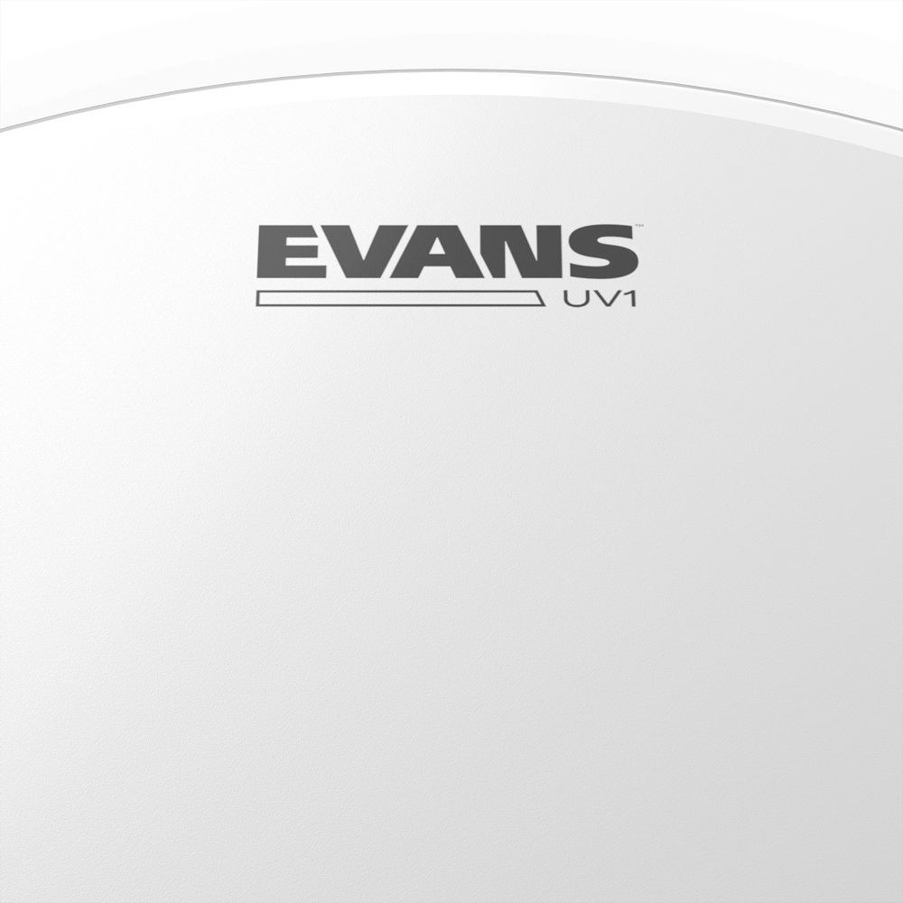 d-addario-evans-uv1-coated-timbale-batter-drumfell image 7