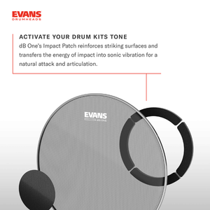 d-addario-evans-db-one-bass-drumhead-leises-mesh-bassfell image 6