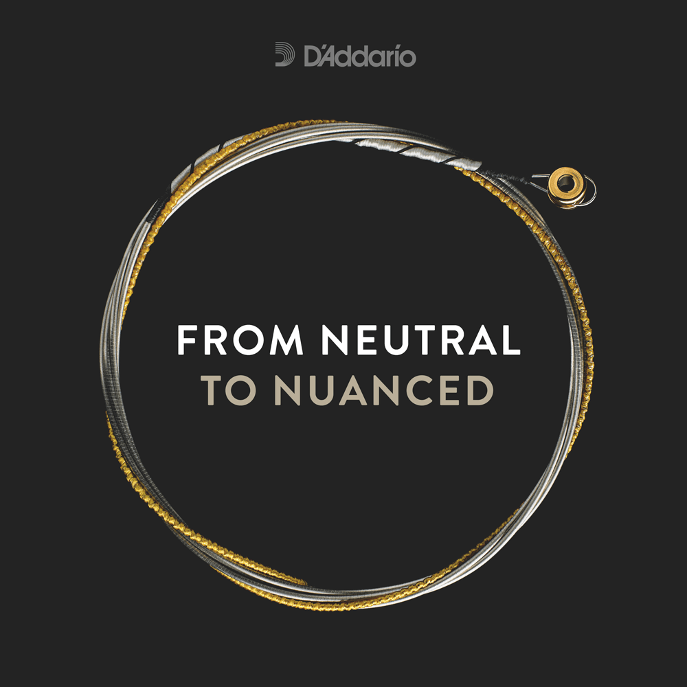 d-addario-kaplan-non-whistling-violin-e-saite-4-4 image 3