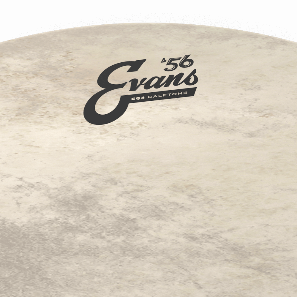 d-addario-evans-eq4-calftone-bass-reso-drumhead image 8