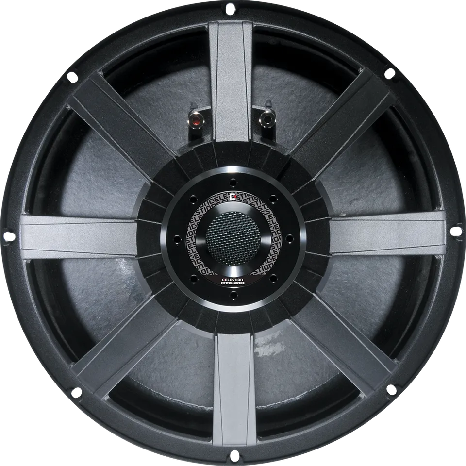 celestion-ntr15-3018e-15-zoll-profi-bass-chassis-mit-dual-magnet image 1