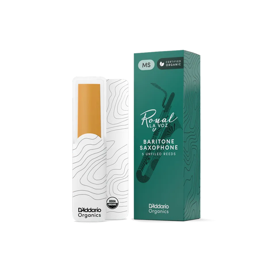 d-addario-la-voz-organic-bariton-saxophon-bl-tter image 1