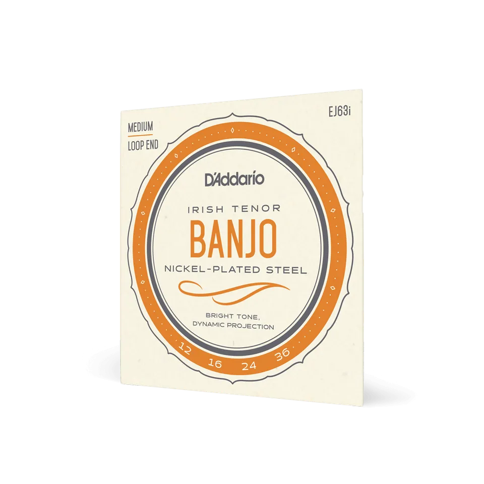d-addario-ej63i-irish-tenor-banjo-saiten-12-36-medium-nickel-4-string image 1