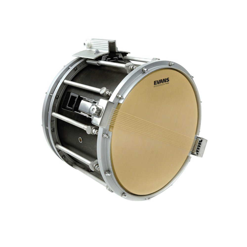 d-addario-evans-ms5-snare-side-marching-trommelfell image 3