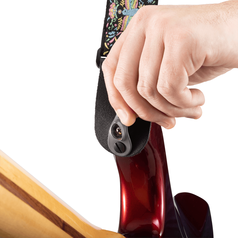 d-addario-pad-lock-web-gitarrengurt-phoenix-dream image 5