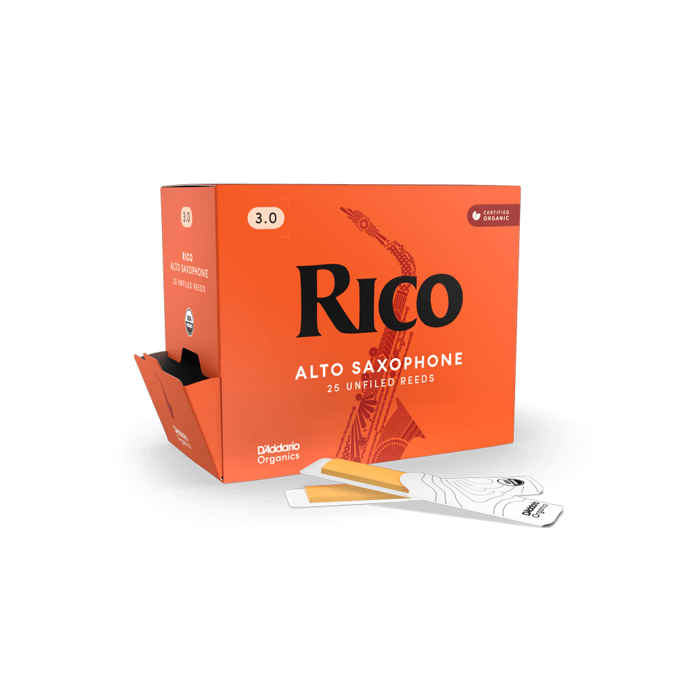 d-addario-rico-organic-alt-saxophon-bl-tter image 8